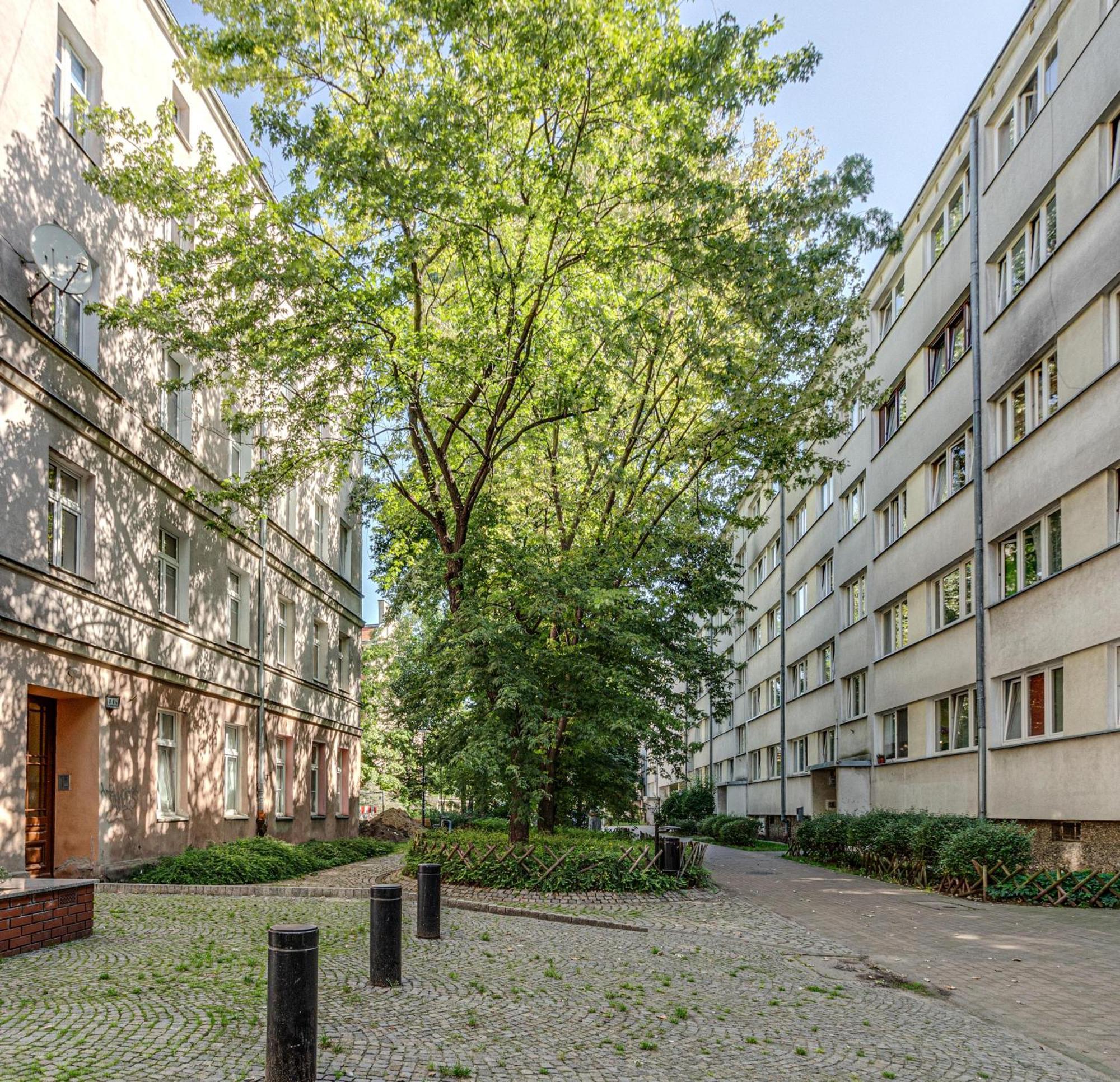 Rentplanet - Studio Nadodrze Wroclaw Exterior photo